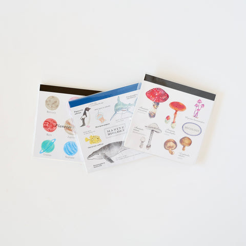 Illustrated Notepads - 3 Options