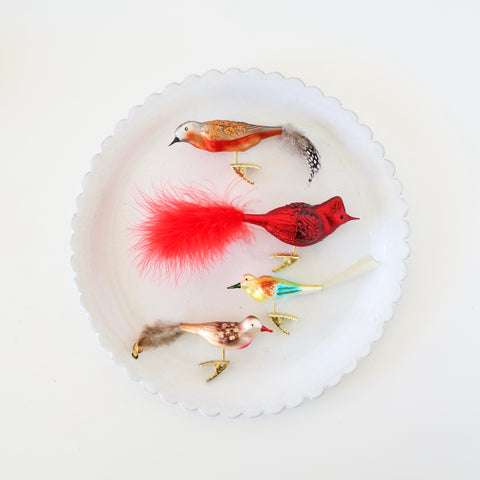Blown Glass Ornaments - Clip-On Birds - 4 Options