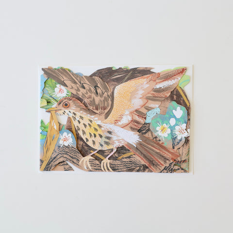 Mark Hearld Fold Out Card - Birds/Nest
